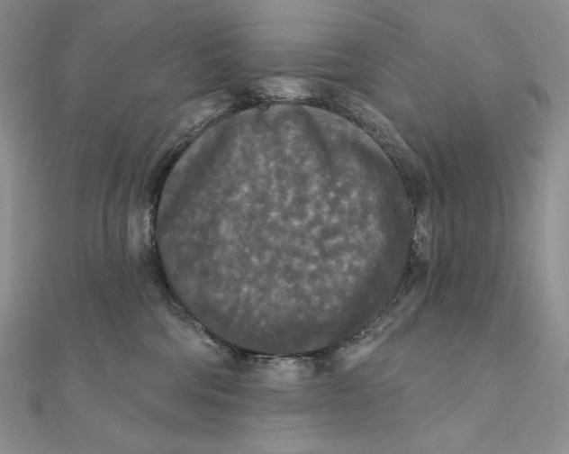 X0000112350330200909031854