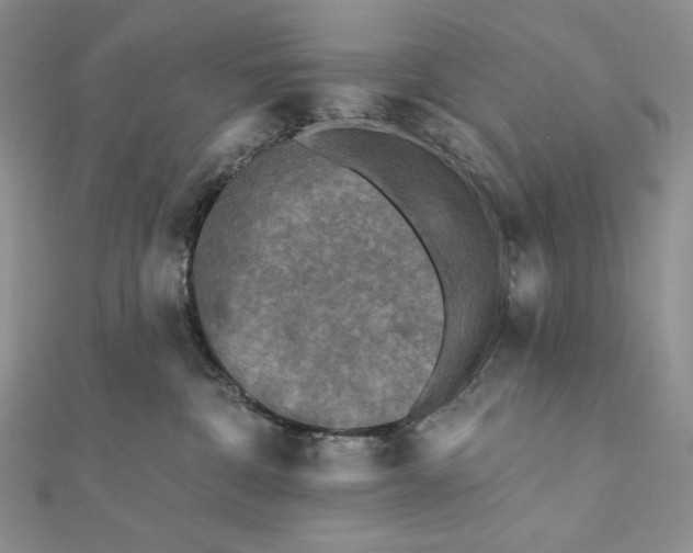 X0000112350332200909031854