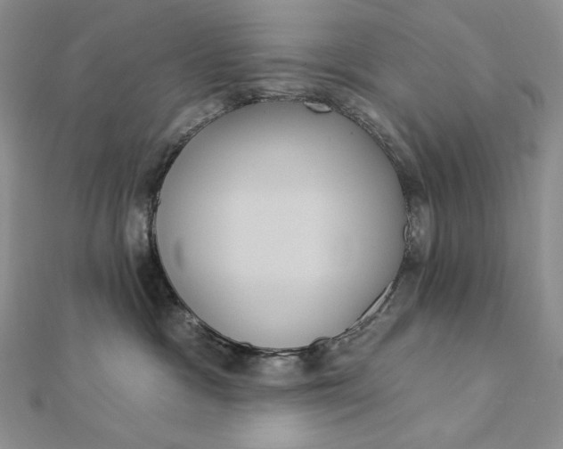 X0000112350333200909031854