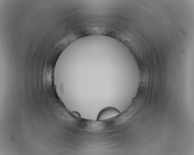 X0000112350334200909031854