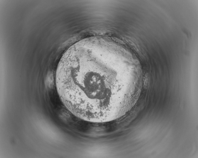 X0000112350335200909031854