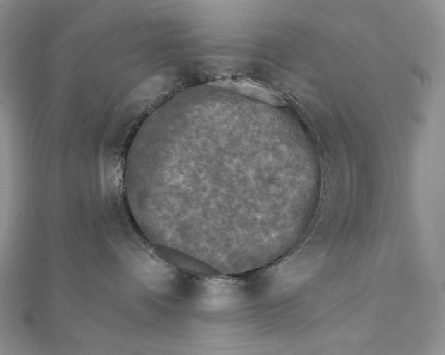 X0000112350336200909031854