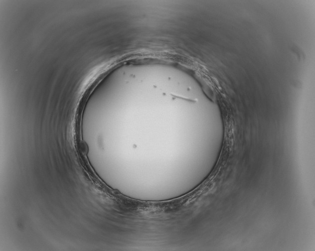 X0000112350340200909031854