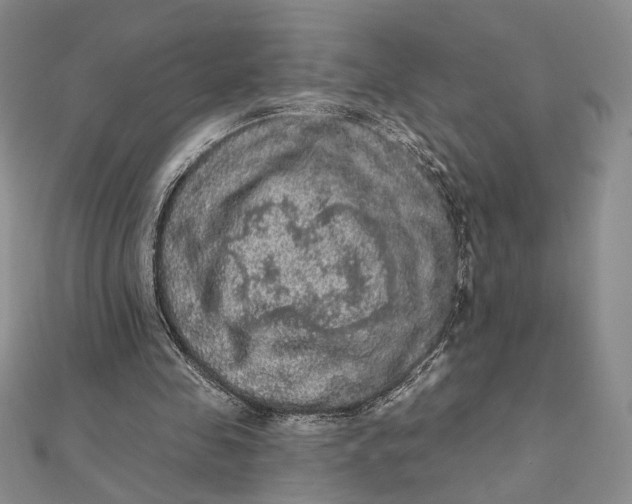 X0000112350341200909031854