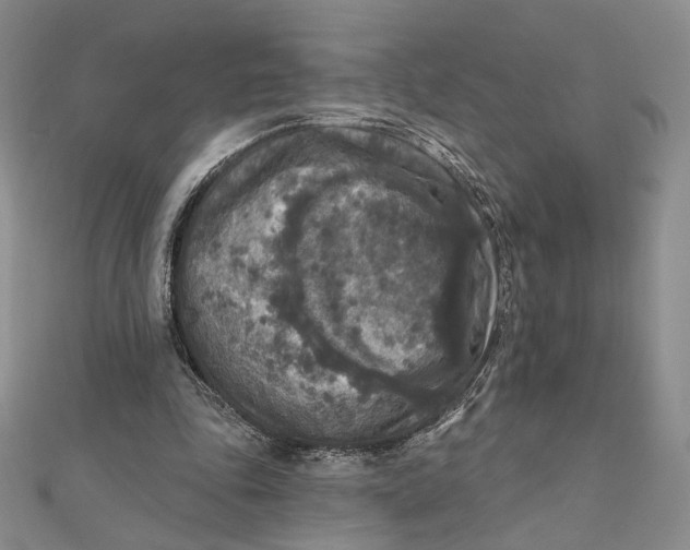 X0000112350343200909031854