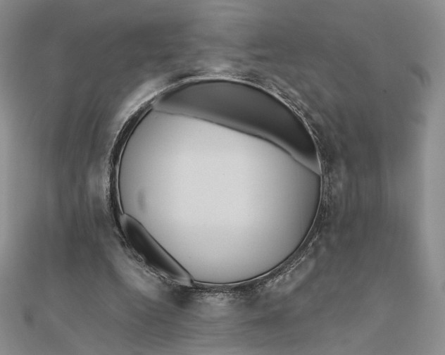 X0000112350344200909031854