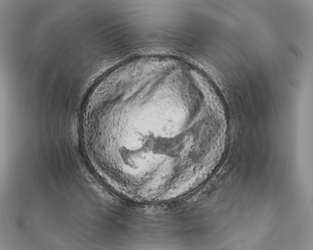 X0000112350345200909031854