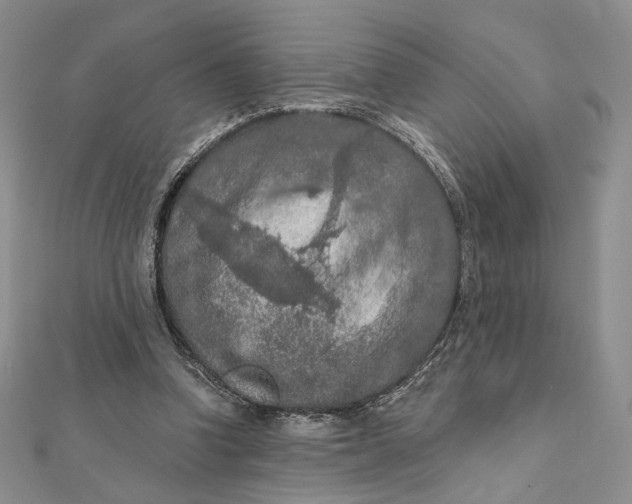 X0000112350346200909031854