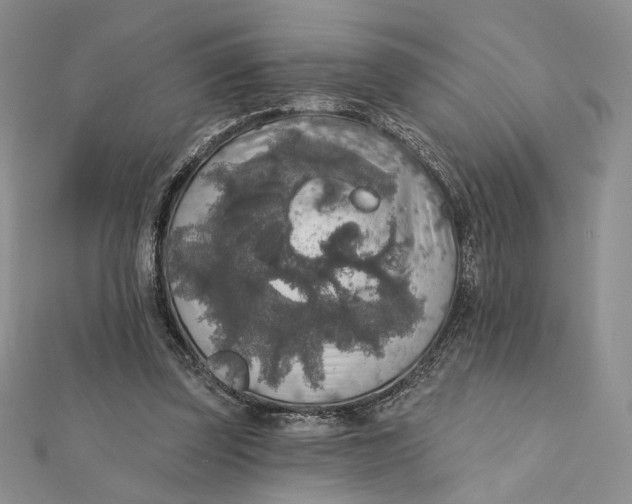 X0000112350347200909031854