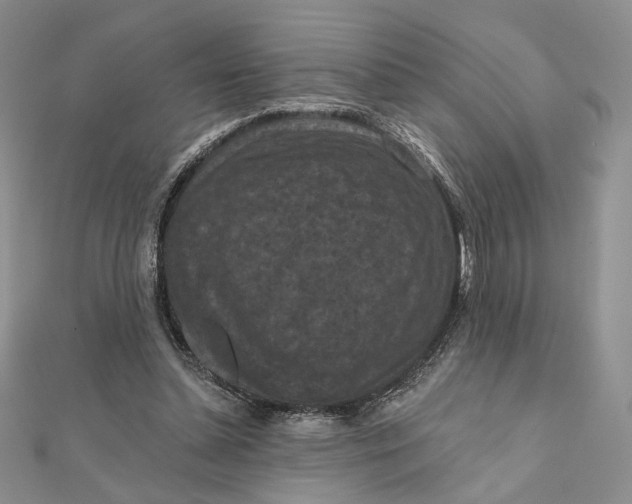 X0000112350348200909031854