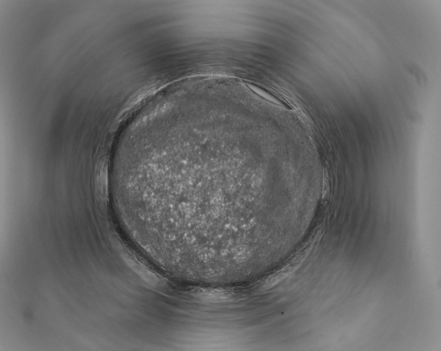 X0000112350349200909031854