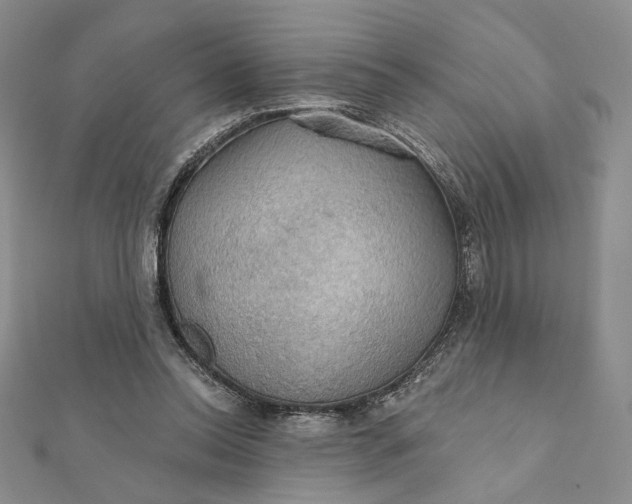 X0000112350350200909031854