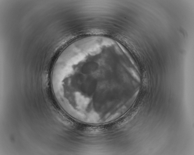 X0000112350351200909031854