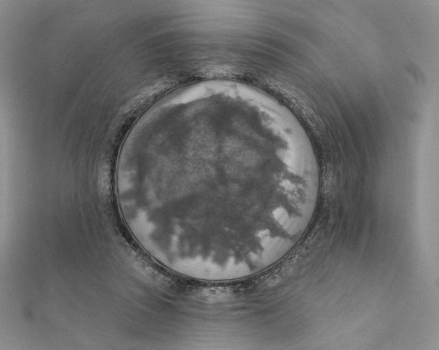 X0000112350353200909031854