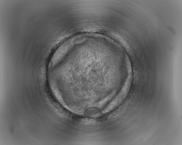 X0000112350354200909031854