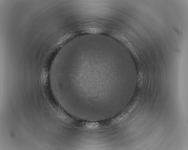 X0000112350355200909031854