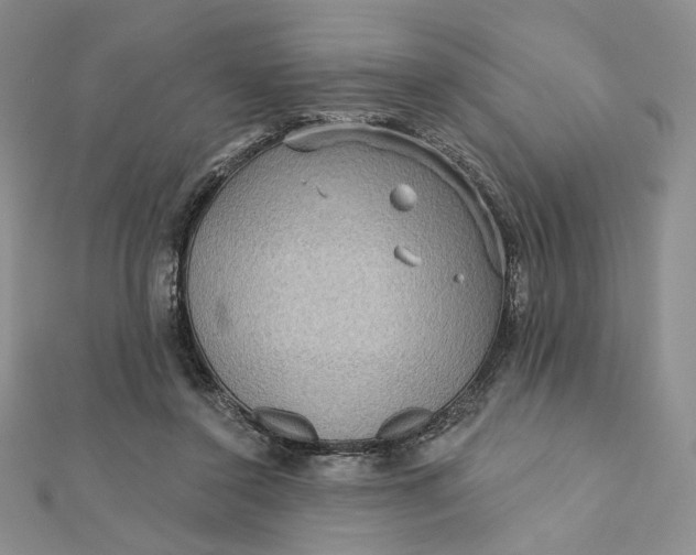 X0000112350356200909031854