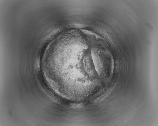 X0000112350358200909031854