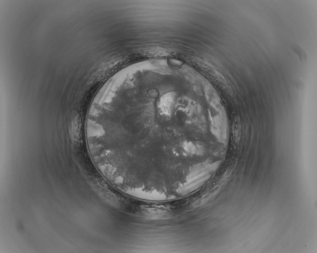 X0000112350359200909031854