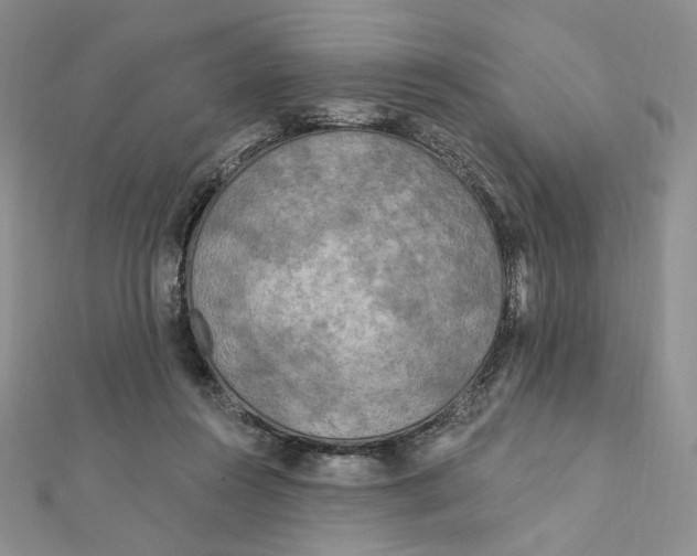 X0000112350360200909031854