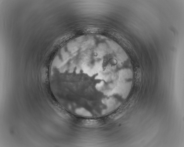 X0000112350361200909031854