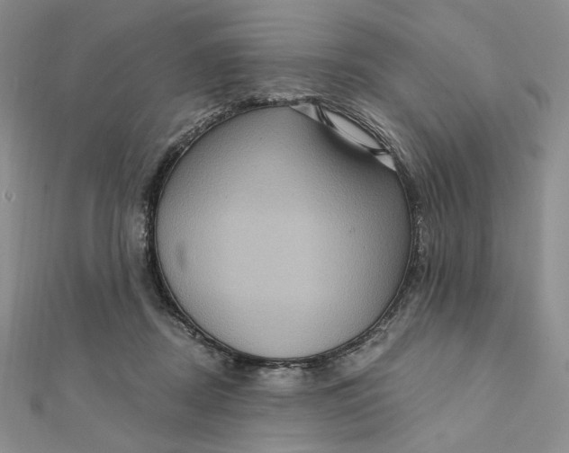 X0000112350362200909031854