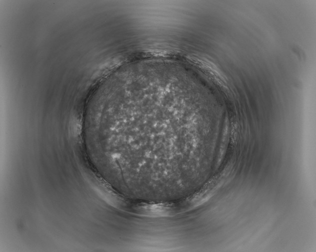 X0000112350365200909031854