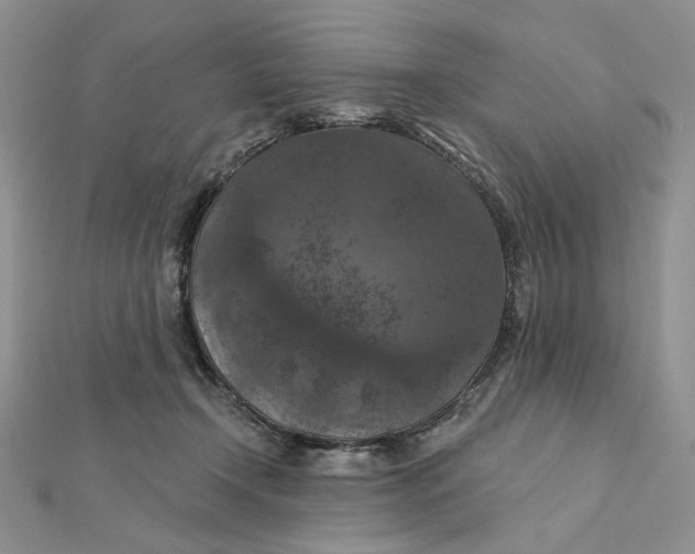 X0000112350366200909031854