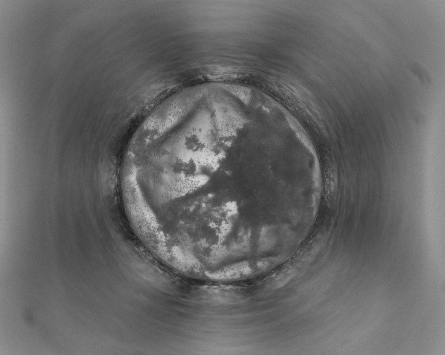 X0000112350367200909031854