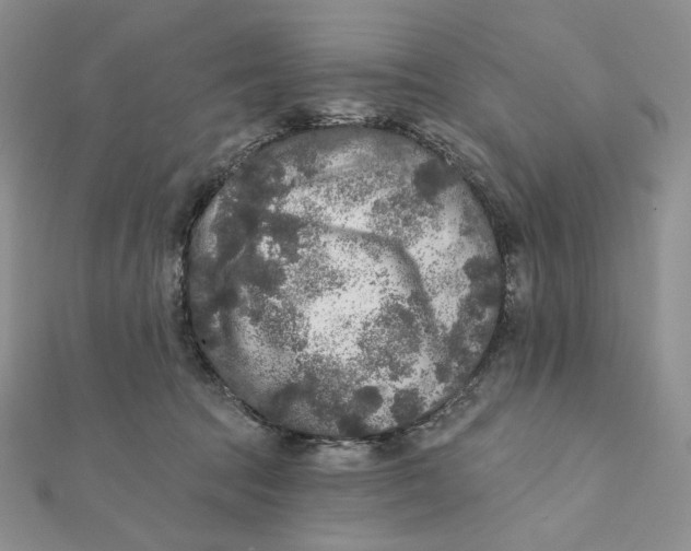 X0000112350369200909031854