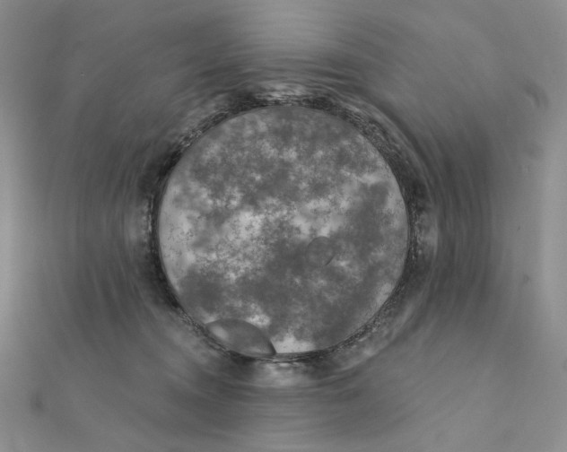 X0000112350372200909031854