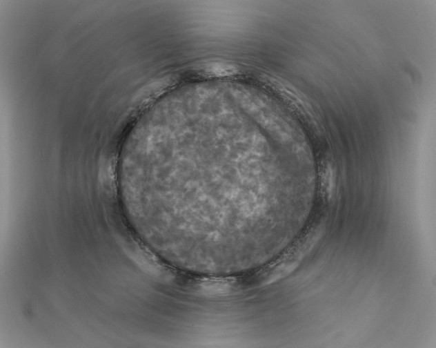 X0000112350373200909031854