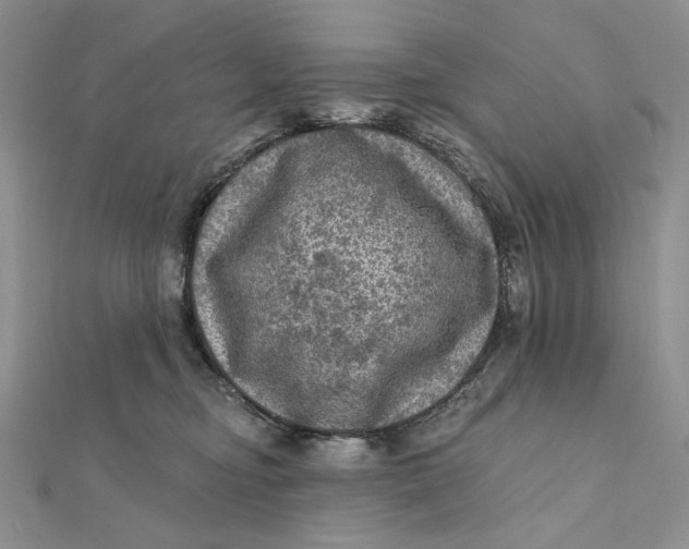 X0000112350374200909031854