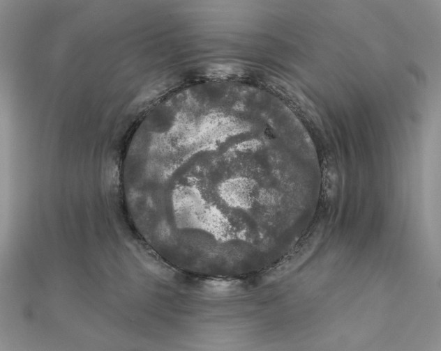 X0000112350375200909031854