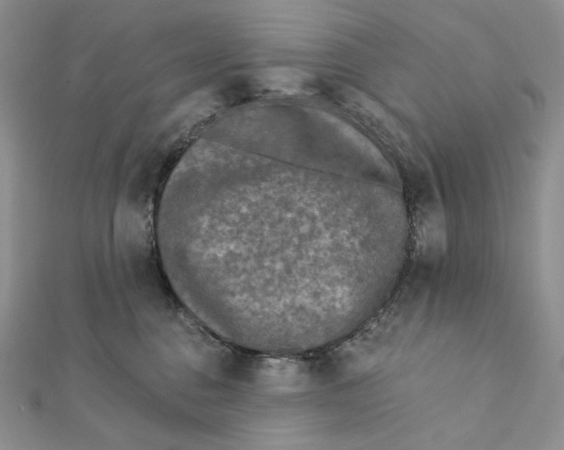 X0000112350376200909031854