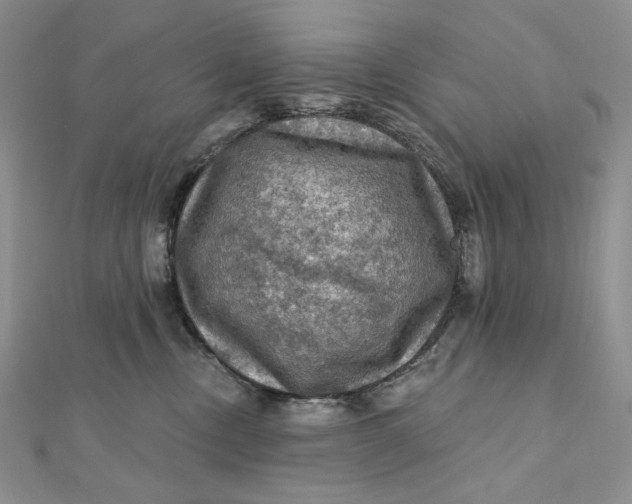 X0000112350378200909031854