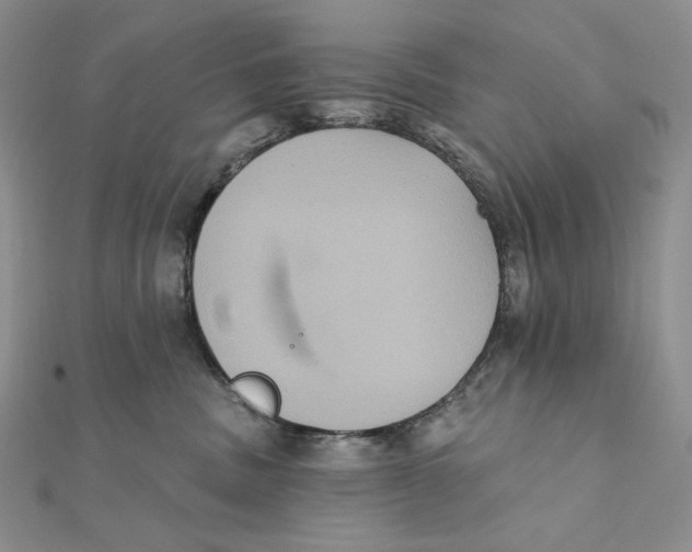 X0000112350379200909031854