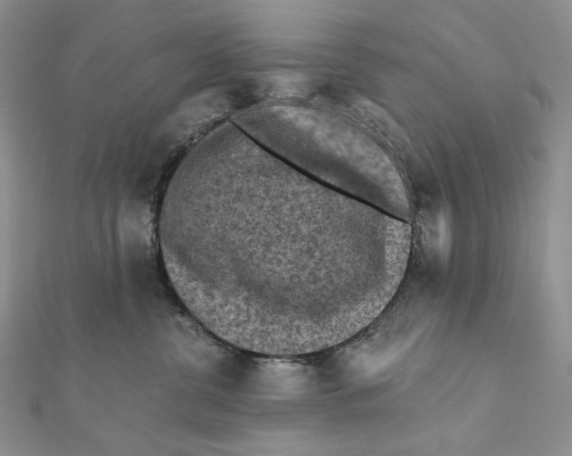 X0000112350380200909031854