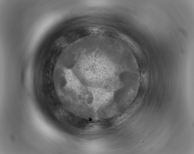 X0000112350381200909031854