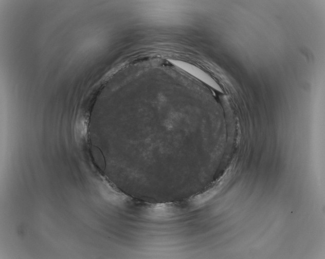 X0000112350382200909031854