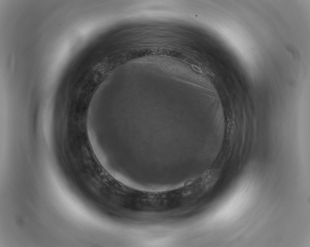 X0000112350383200909031854