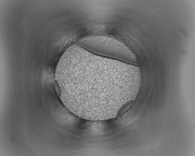 X0000112350384200909031854