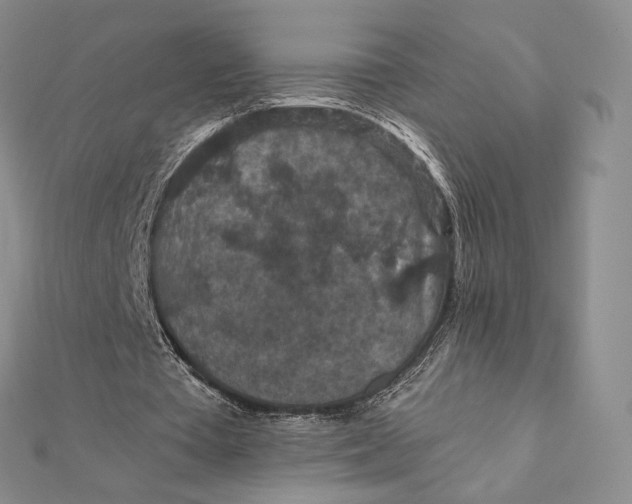 X0000112350385200909031854