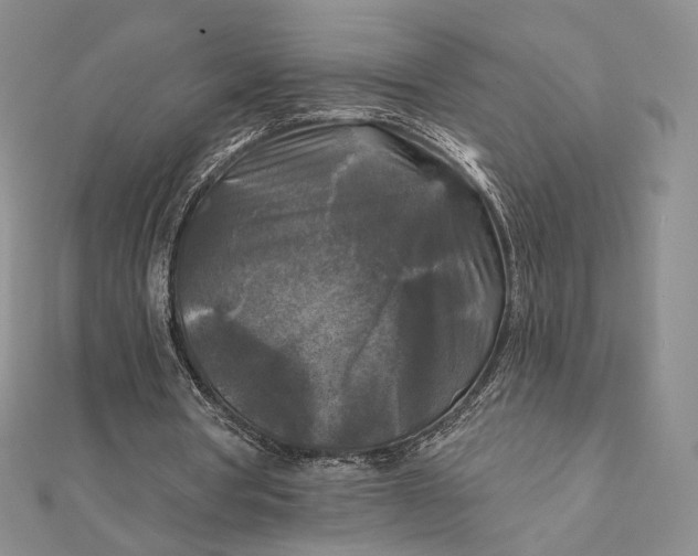 X0000112350386200909031854