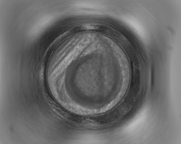 X0000112350387200909031854