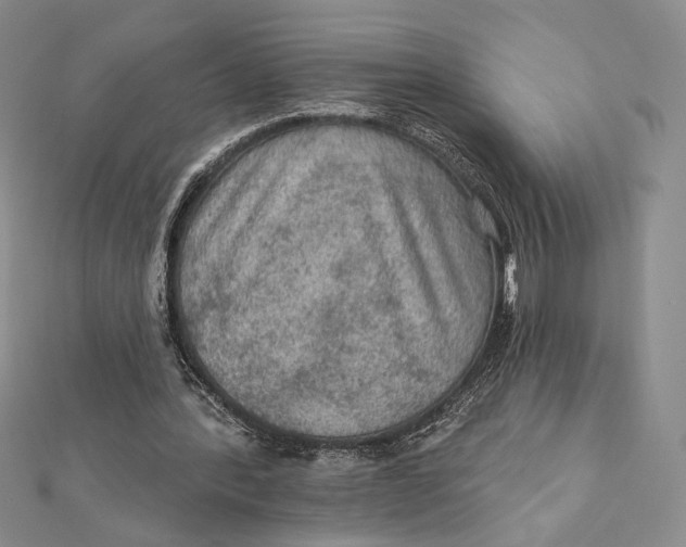 X0000112350388200909031854