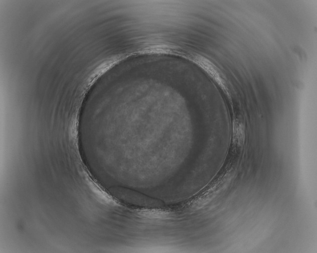 X0000112350389200909031854