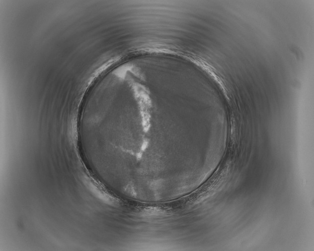 X0000112350390200909031854