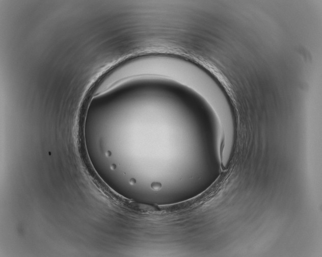 X0000112350391200909031854