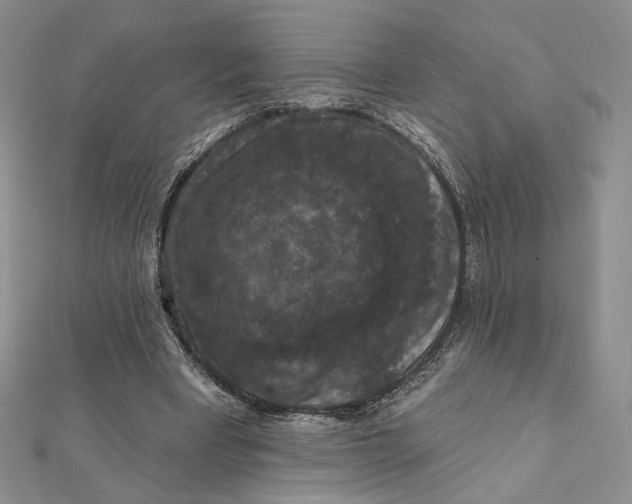 X0000112350393200909031854